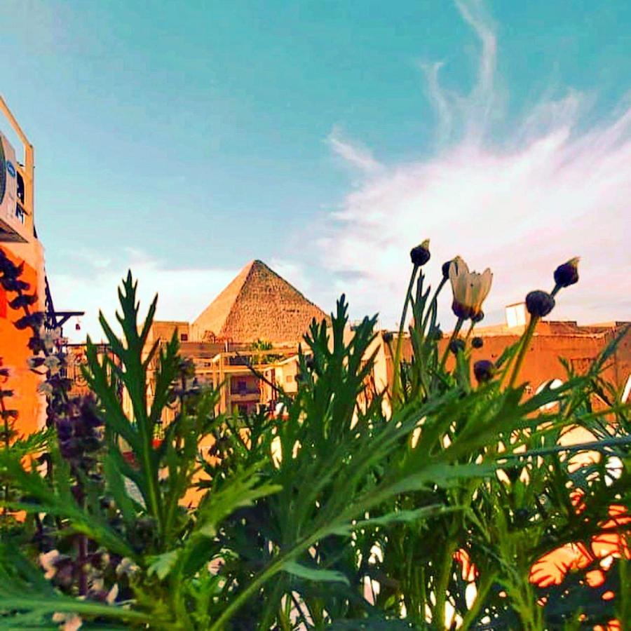 Отель Carpet Alaadein Pyramids View Kafrat al Jabal Экстерьер фото